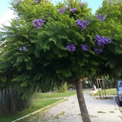 Parque Infantil do Monte de Caparica - Odivelas