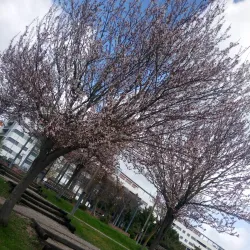 Parque Infantil do Monte de Caparica - Odivelas