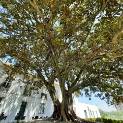 Quinta da Piedade - Odivelas