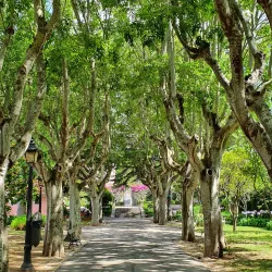 Jardim Municipal de Oeiras - Oeiras