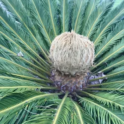 Parque Urbano de Miraflores - Oeiras