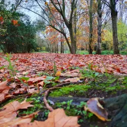Parque Urbano de Miraflores - Oeiras