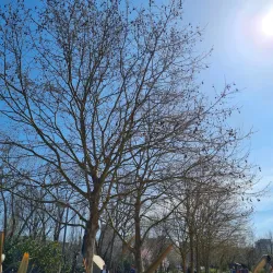 Parque Urbano de Miraflores - Oeiras