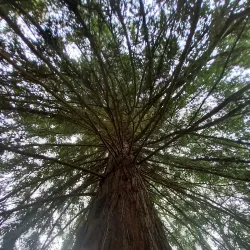 Quinta da Ribafria - Oeiras