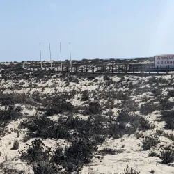 Ilha da Armona - Olhão