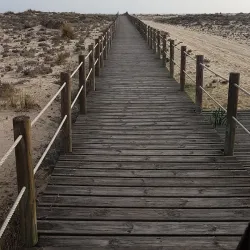 Ilha da Armona - Olhão