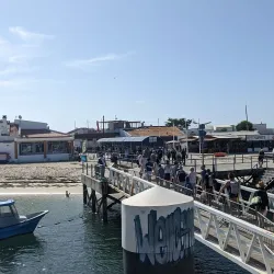 Ilha da Armona - Olhão