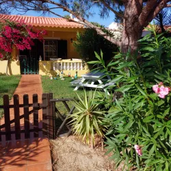 Ilha da Armona - Olhão