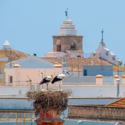 Ilha da Culatra - Olhão