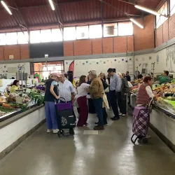 Mercado de Olhão (Olhão Market) - Olhão