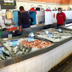 Mercado de Olhão (Olhão Market) - Olhão