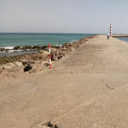 Parque Natural da Ria Formosa Visitor Center - Olhão