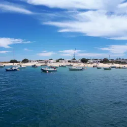 Ria Formosa Natural Park - Olhão