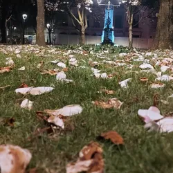 Jardim Municipal de Oliveira de Azeméis - Oliveira de Azemeis