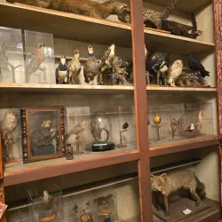 Museu de Oliveira de Azeméis - Oliveira de Azemeis