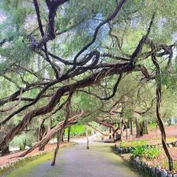 Parque da Cidade de Oliveira de Azeméis - Oliveira de Azemeis