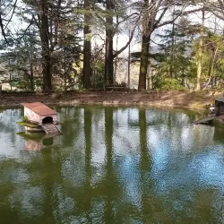 Parque da Cidade de Oliveira de Azeméis - Oliveira de Azemeis