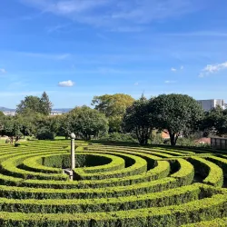 Parque do São Roque - Oliveira de Azemeis