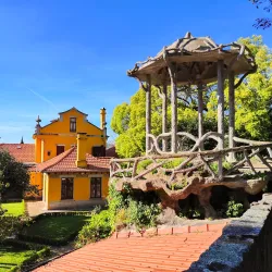 Parque do São Roque - Oliveira de Azemeis