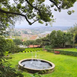 Parque do São Roque - Oliveira de Azemeis