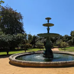 Parque do São Roque - Oliveira de Azemeis