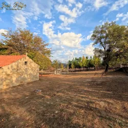 Capela de São Pedro (Chapel of St. Peter) - Ourem