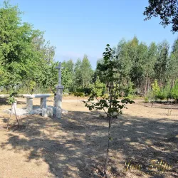 Capela de São Pedro (Chapel of St. Peter) - Ourem