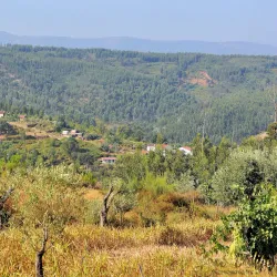 Capela de São Pedro (Chapel of St. Peter) - Ourem