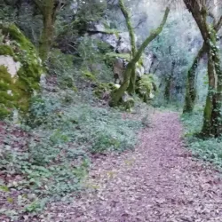 Parque Verde de Ourém (Ourém Green Park) - Ourem