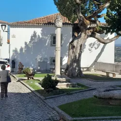 Pelourinho de Ourém (Ourém Pillory) - Ourem