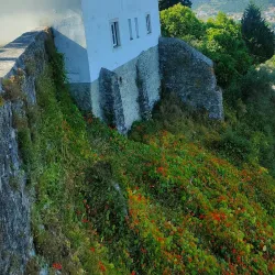 Pelourinho de Ourém (Ourém Pillory) - Ourem