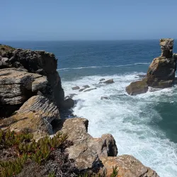 Berlengas Archipelago - Peniche