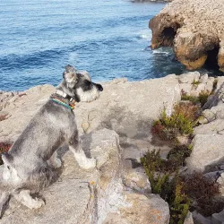 Porto de Peniche - Peniche