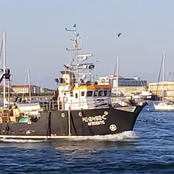 Porto de Peniche - Peniche