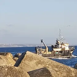 Porto de Peniche - Peniche