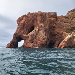 Reserva Natural das Berlengas - Peniche
