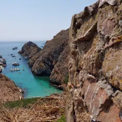 Reserva Natural das Berlengas - Peniche