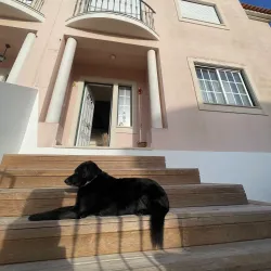 Surfing at Supertubos Beach - Peniche
