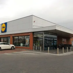 Pinhal Novo Pine Forests - Pinhal Novo