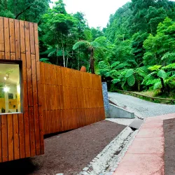 Caldeira Velha - Ponta Delgada