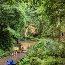 Caldeira Velha - Ponta Delgada