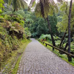 Caldeira Velha - Ponta Delgada
