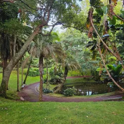 Jardim António Borges (António Borges Garden) - Ponta Delgada