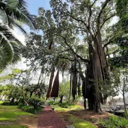 Jardim António Borges (António Borges Garden) - Ponta Delgada