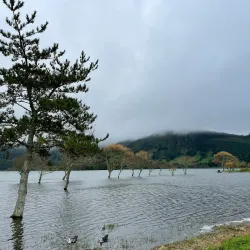 Lagoa das Sete Cidades (Sete Cidades Lake) - Ponta Delgada