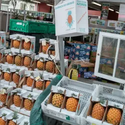 Mercado da Graça (Graça Market) - Ponta Delgada