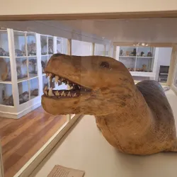 Museu Carlos Machado (Carlos Machado Museum) - Ponta Delgada