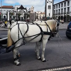 Portas da Cidade (City Gates) - Ponta Delgada
