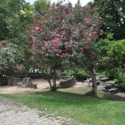 Jardim da República - Portalegre
