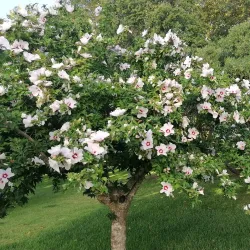 Jardim da República - Portalegre